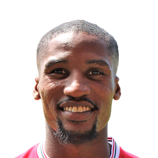 FC 25 Aaron Hayden Face