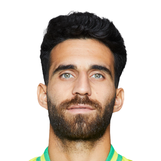 FC 25 Face
