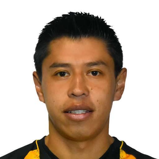 FC 25 Face