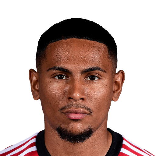 FC 25 Face