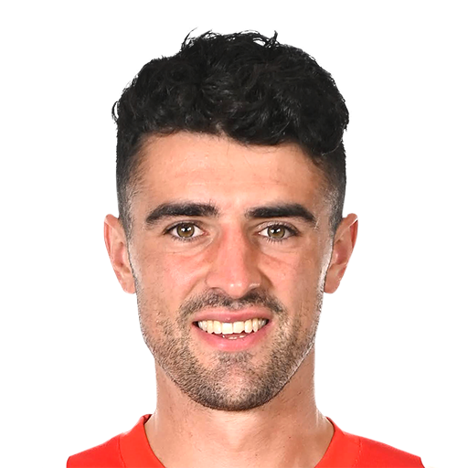 FC 25 Alexandru Pascanu Face