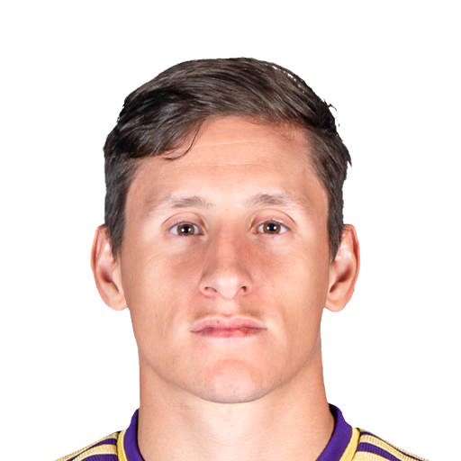 FC 25 Rodrigo Schlegel Face