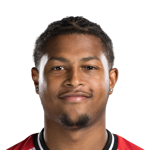 FC 25 Rhian Brewster Face