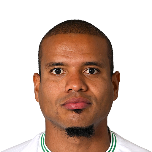 FC 25 Silva Face