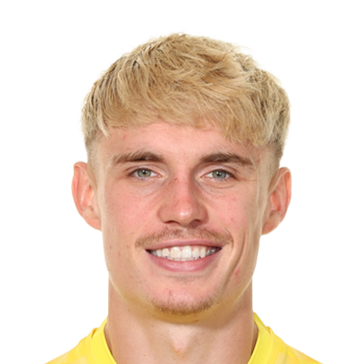FC 25 Przemyslaw Placheta Face