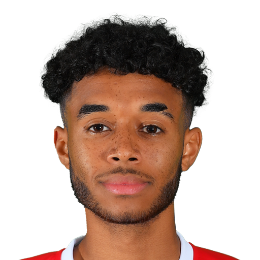 FC 25 Romal Palmer Face