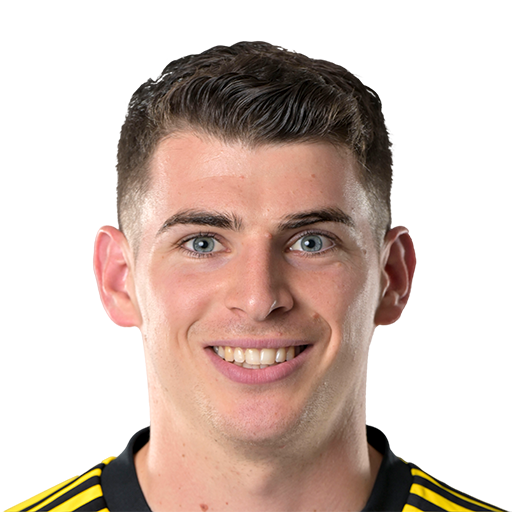 FC 25 Ivan Ljubic Face
