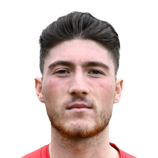 FC 25 Face