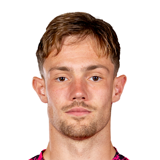 FC 25 Josef Bursik Face
