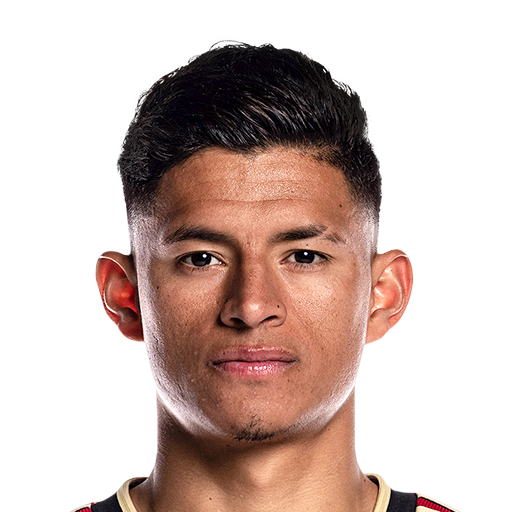 FC 25 Face