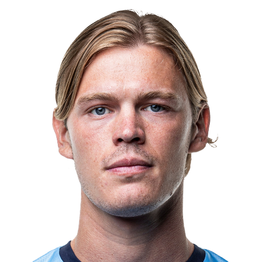 FC 25 Hugo Andersson Face