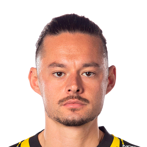 FC 25 Face