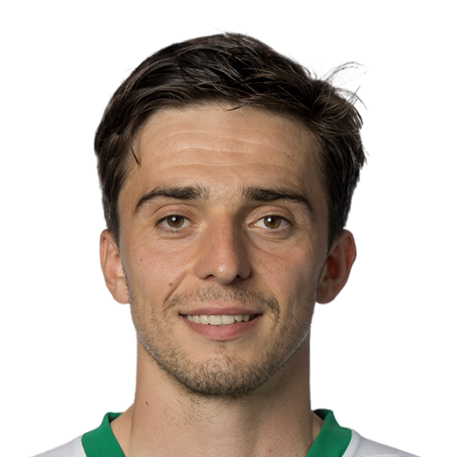 FC 25 Albert Vallci Face