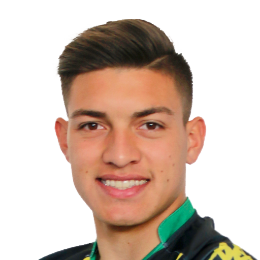 FC 25 Luis Ingolotti Face