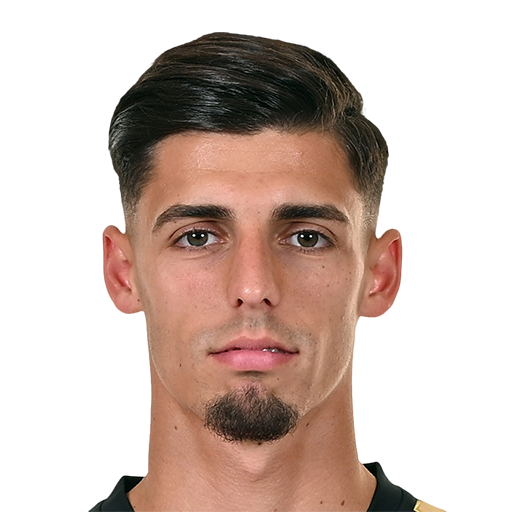 FC 25 Face