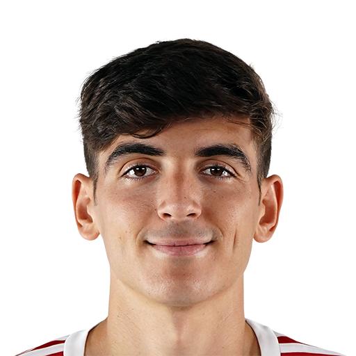 FC 25 Face