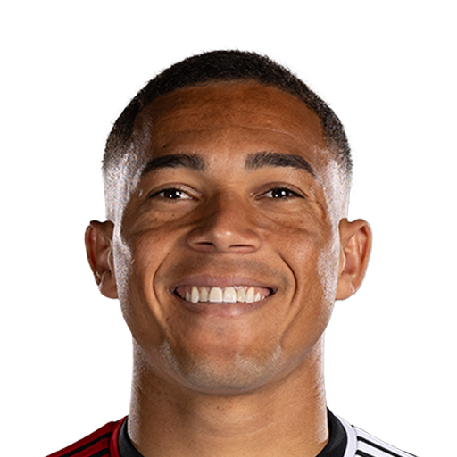 FC 25 Vinicius Face