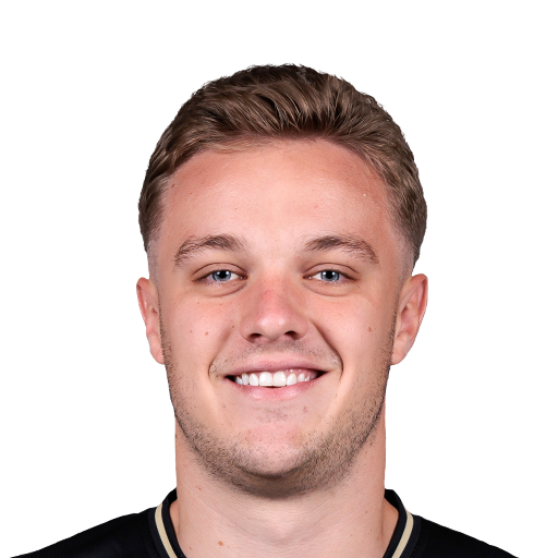 FC 25 Noah James Face