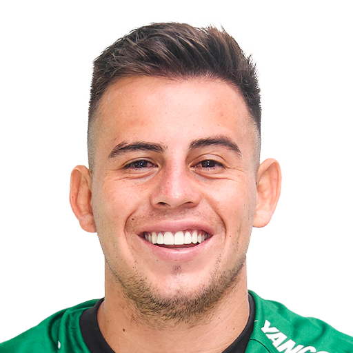 FC 25 Face