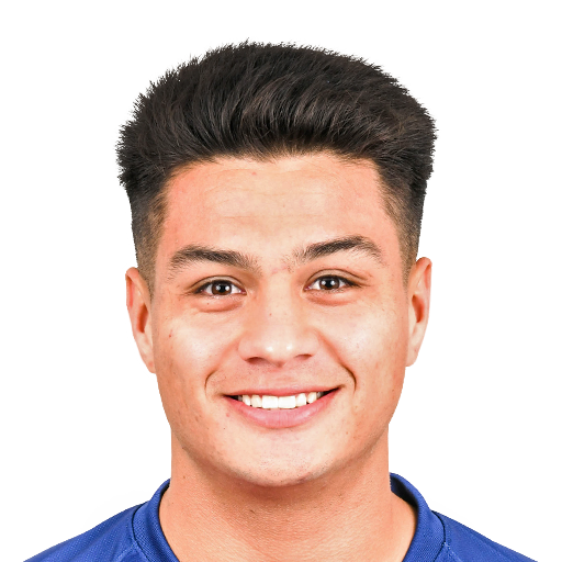 FC 25 Alexander Diaz Face