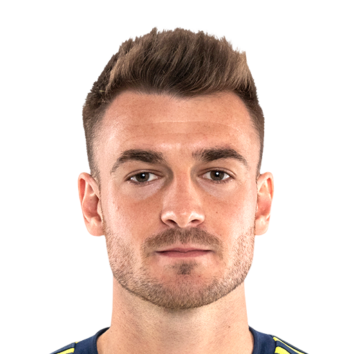 FC 25 Amar Sejdic Face