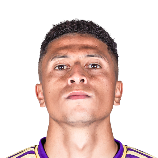 FC 25 Face