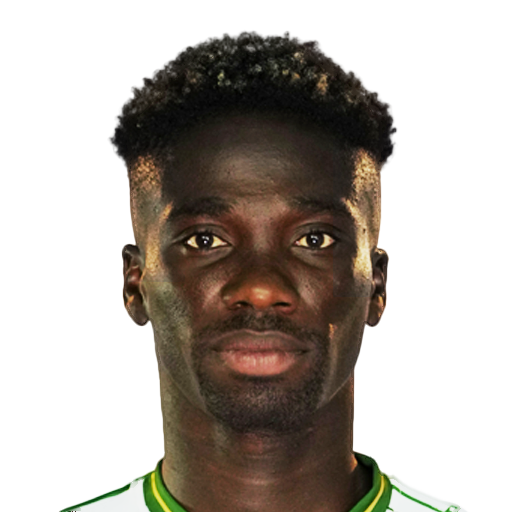 FC 25 Face