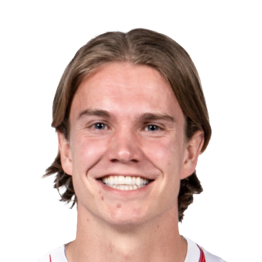 FC 25 Niklas Vesterlund Face