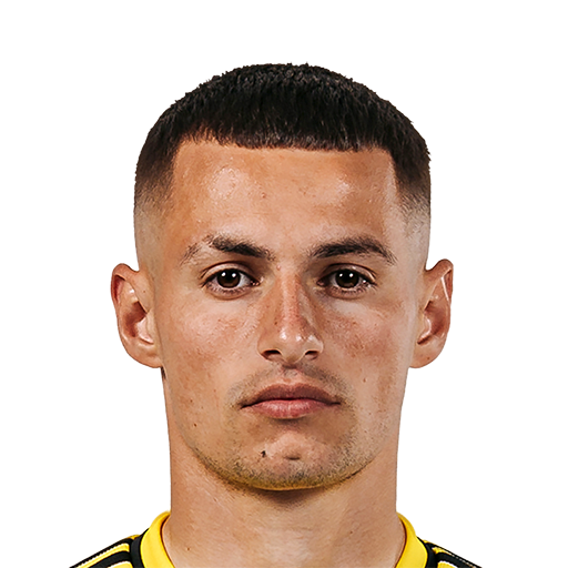 FC 25 Alexandru Matan Face
