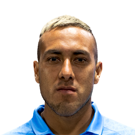 FC 25 Face