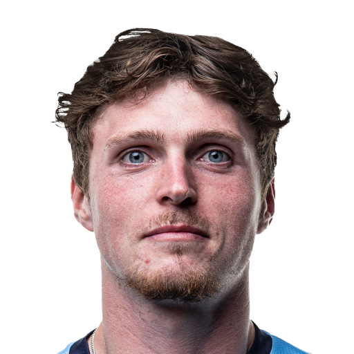 FC 25 Nikolas Dyhr Face
