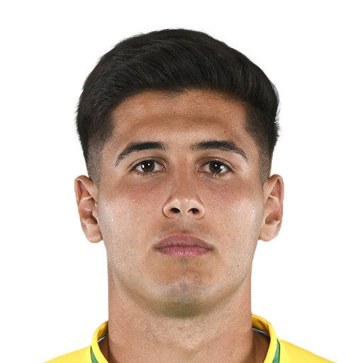 FC 25 Face