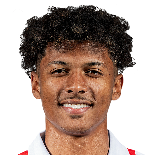 FC 25 Charles-Andreas Brym Face