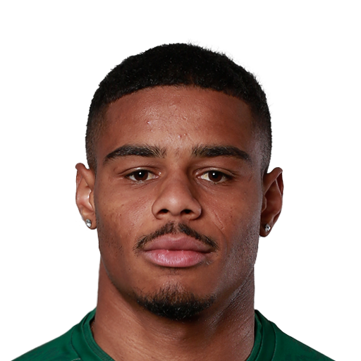 FC 25 Face