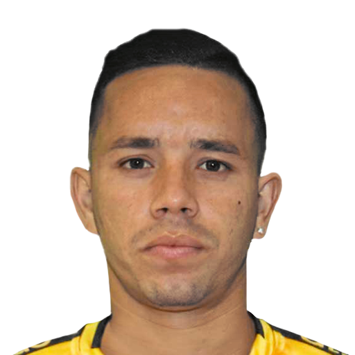 FC 25 Nelson Hernandez Face