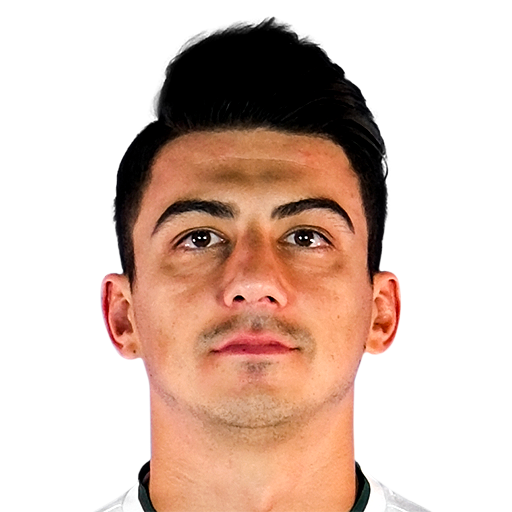 FC 25 Soner Dikmen Face