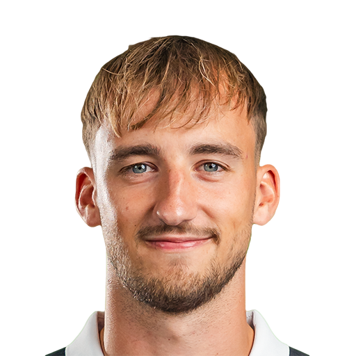 FC 25 Michel Stocker Face