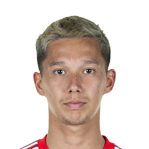 FC 25 Shinta Appelkamp Face