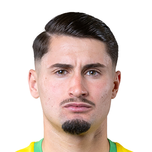 FC 25 Face