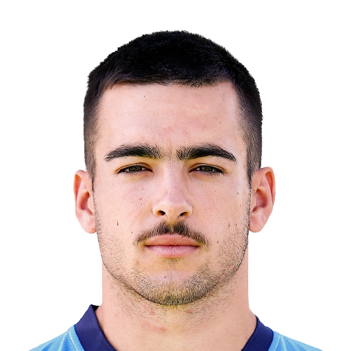 FC 25 Ramon Enriquez Face