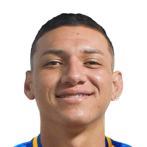 FC 25  Face