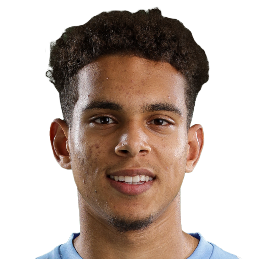 FC 25 Raphael Borges Rodrigues Face