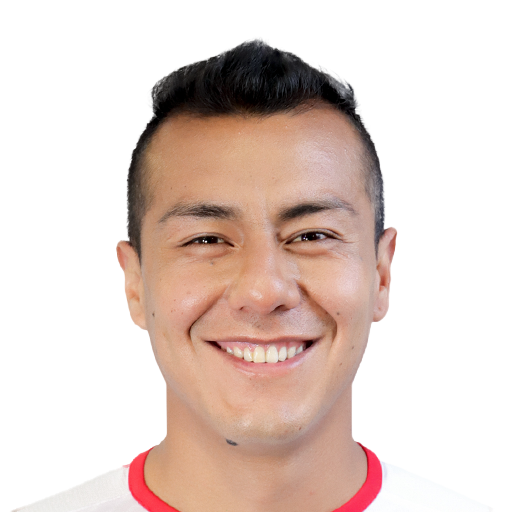 FC 25 Face