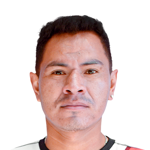 FC 25 Face