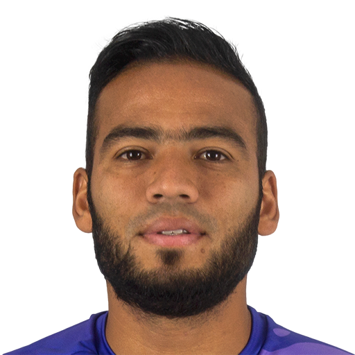 FC 25 Irwin Anton Face
