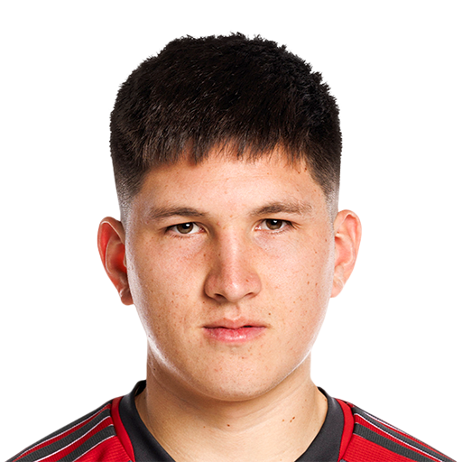 FC 25 Franco Ibarra Face