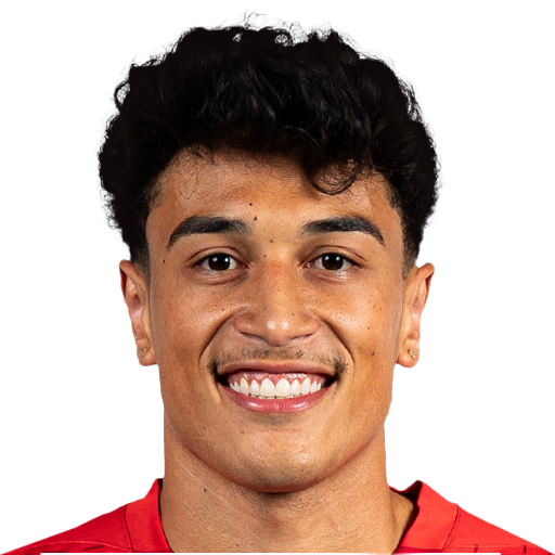 FC 25 Face