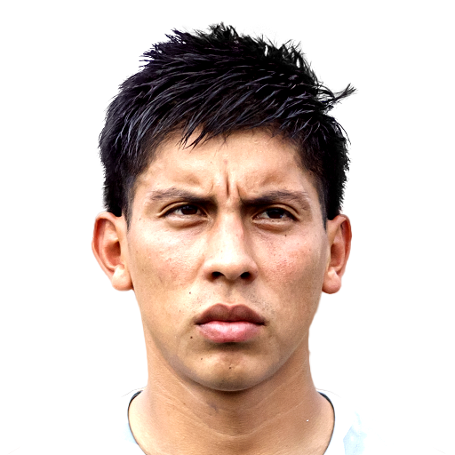 FC 25 Face