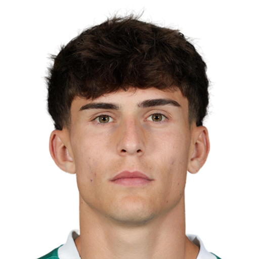 FC 25 Niklas Hedl Face