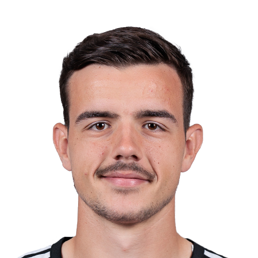 FC 25 Nicolas Milanovic Face